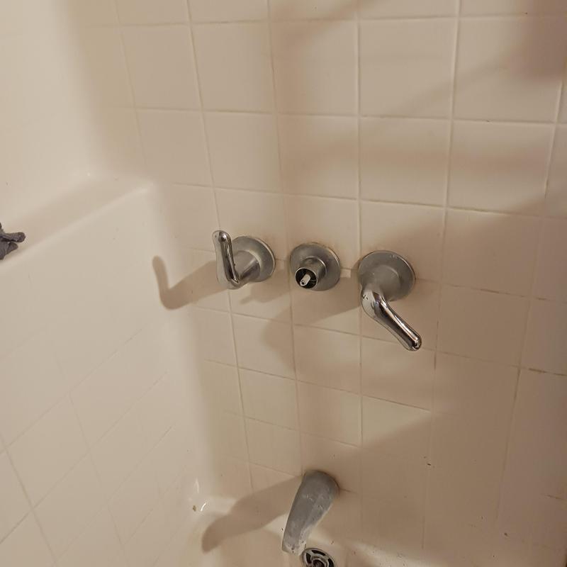 Shower valve assembly with new cartridge and handles