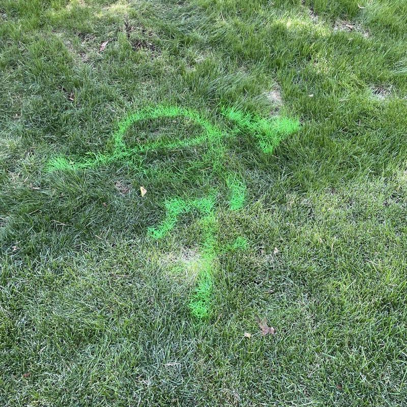 Orangeburg pipe marked for backyard replacement Orangeburg pipe marked for backyard replacement