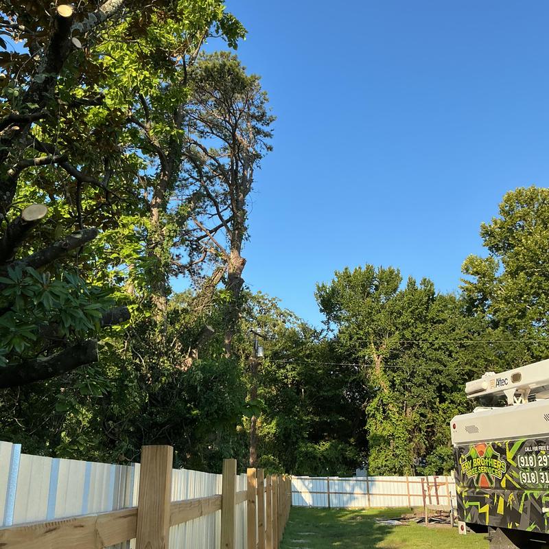 Bucket truck trimming overhanging tree canopy near fence Bucket truck trimming overhanging tree canopy near fence