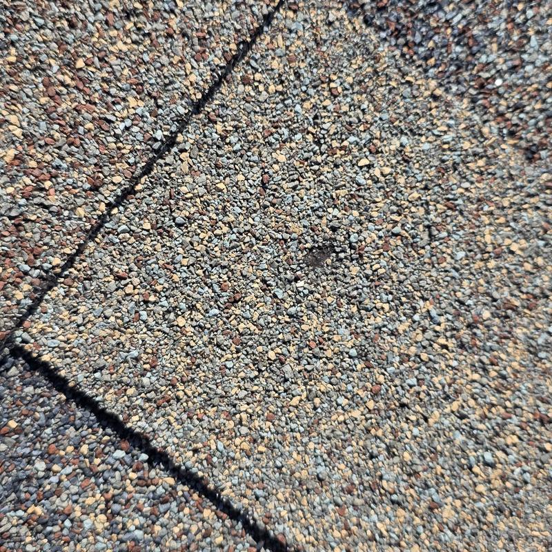 Asphalt roof shingles with minor hail damage close-up