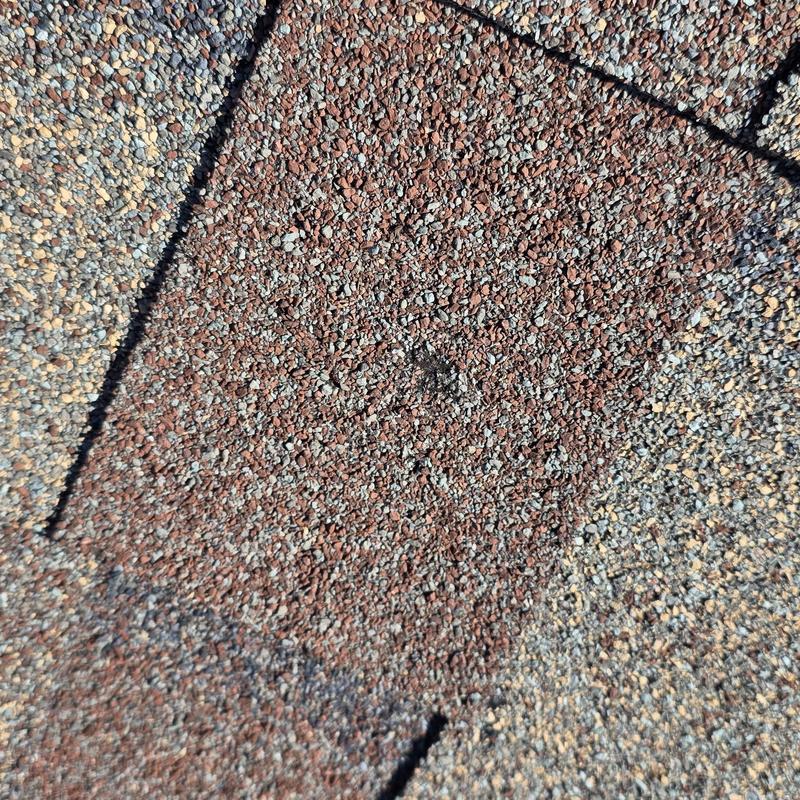 Asphalt roof shingle with hail damage close-up