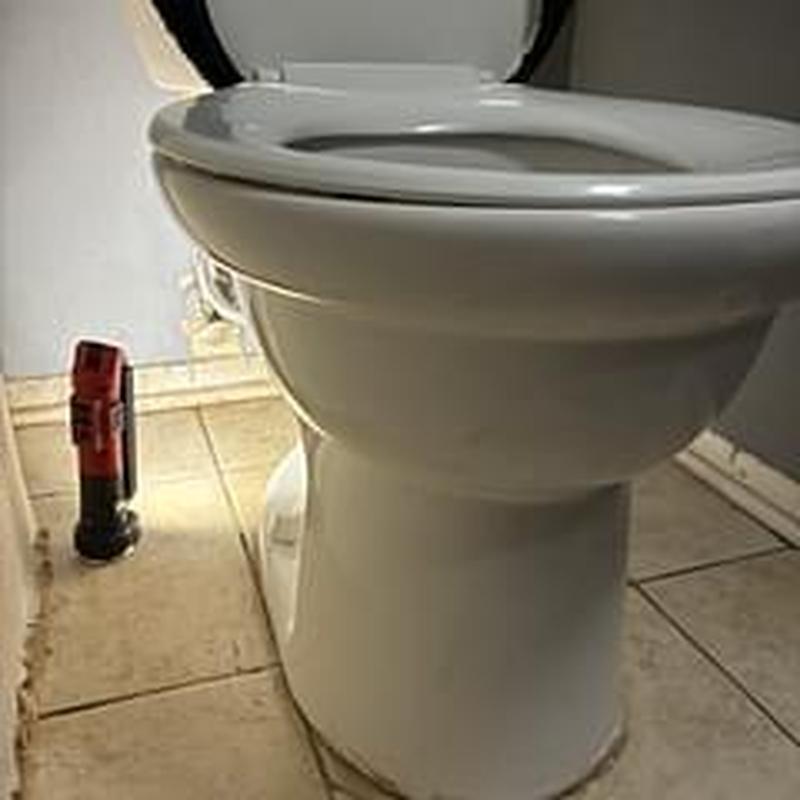 Toilet bowl resealed with drain cleaner nearby