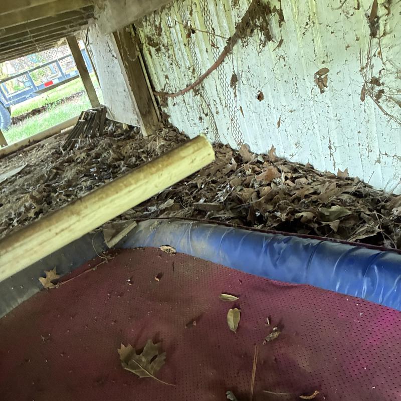 Crawl space with debris and old leaves under home Crawl space with debris and old leaves under home