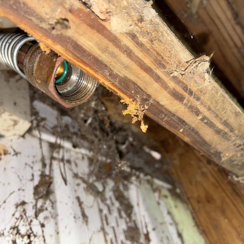 Outdoor faucet metal connector under wooden beam with cobwebs Outdoor faucet metal connector under wooden beam with cobwebs