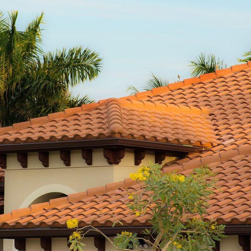Tile roof with overlapping clay tiles under clear sky Tile roof with overlapping clay tiles under clear sky