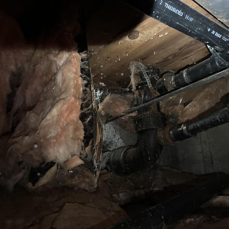 Kitchen sink drain pipes in crawl space with insulation