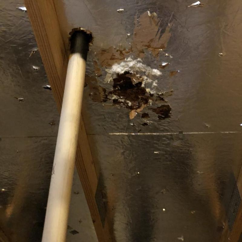 Pipe boot and damaged ceiling insulation in attic