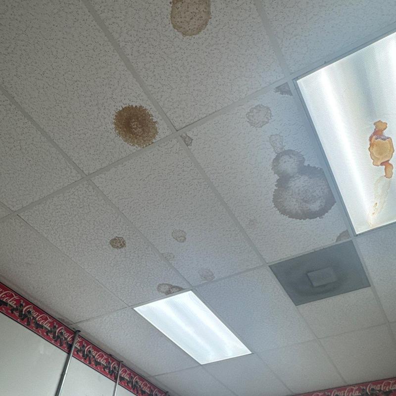 Ceiling tiles with water stains and damage near lights