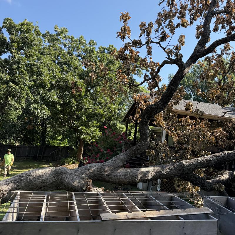 Storm-damaged tree on house removal in McAlester Storm-damaged tree on house removal in McAlester