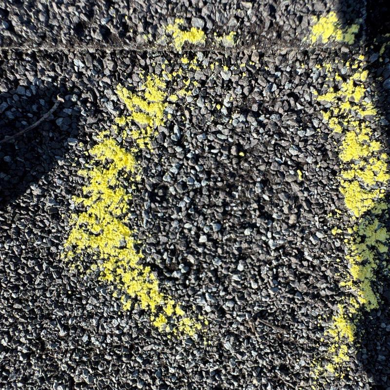 Roof shingle hail damage marked with yellow paint