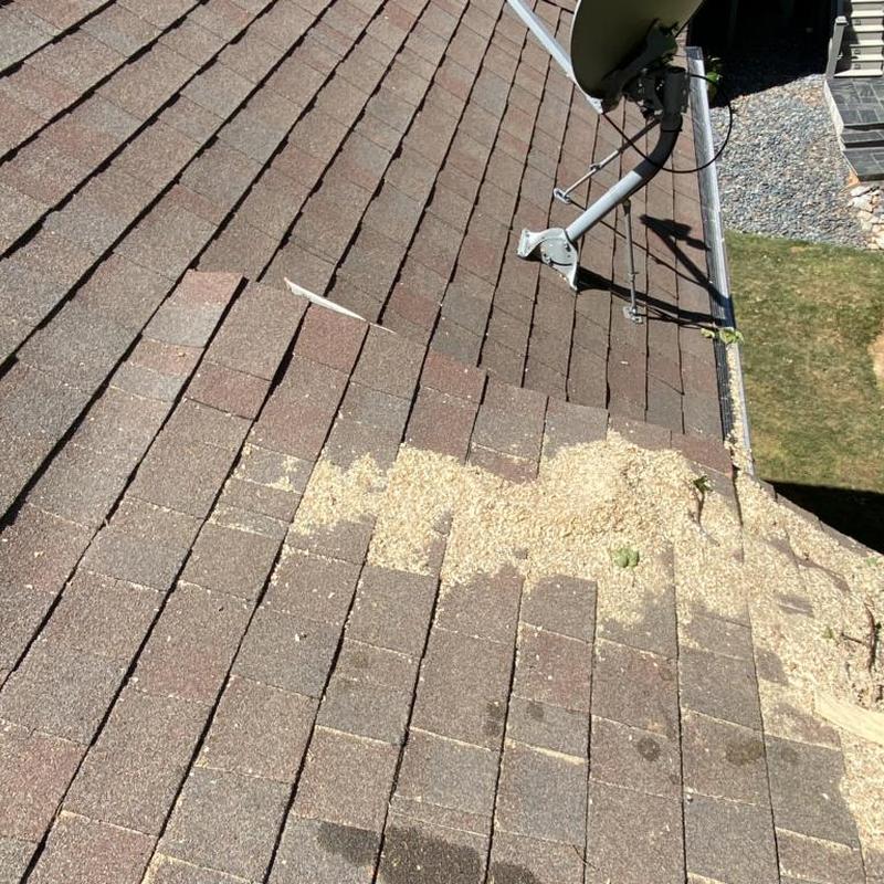 Roof shingles with wood debris and gutter damage