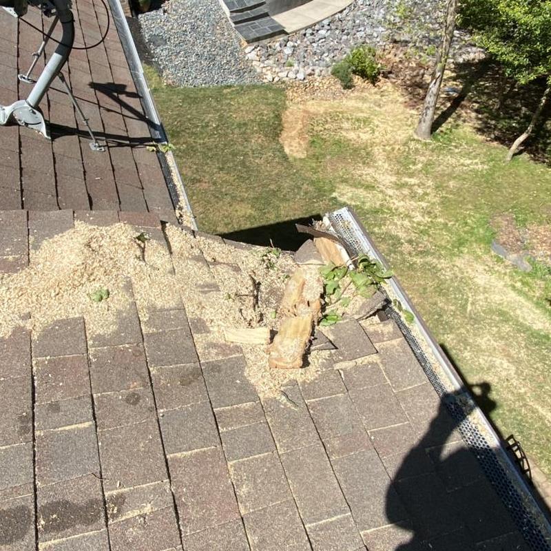 Roof shingles with tree debris and broken gutter guard