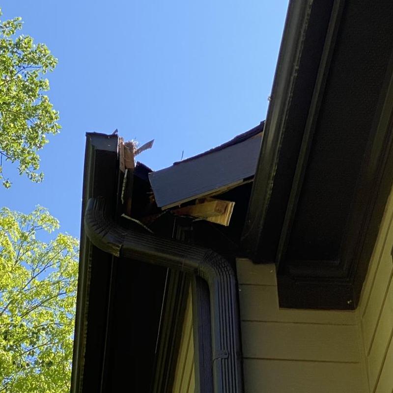 Roof edge with damaged gutters and fascia from tree impact
