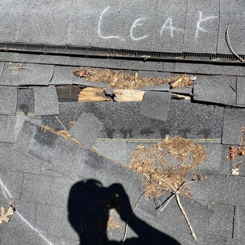 Roof shingles with water damage and debris buildup