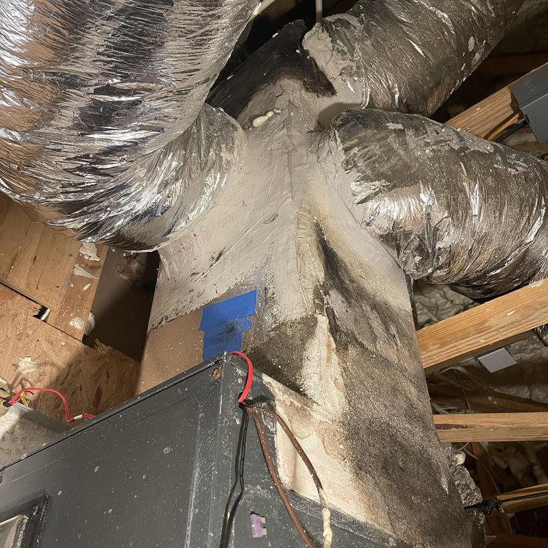 Supply plenum with ductwork showing deterioration and mold
