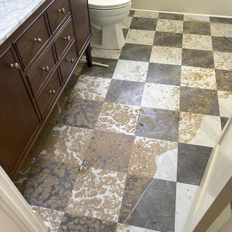 Bathroom tile floor covered in mud after sewer backup Bathroom tile floor covered in mud after sewer backup