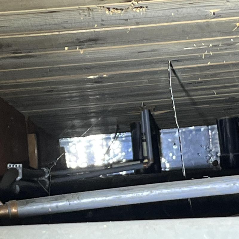 Polybutylene piping under a home ceiling in basement area Polybutylene piping under a home ceiling in basement area