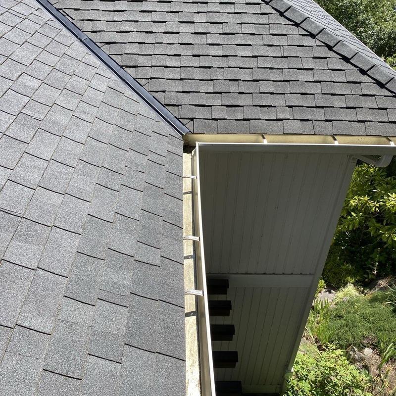 Roof shingles and gutter cleaning with moss treatment