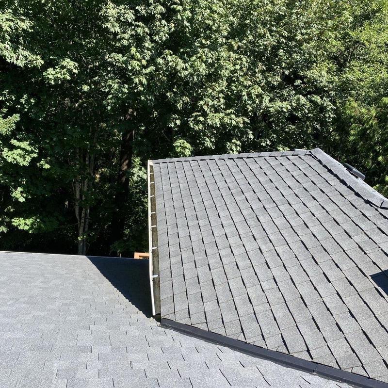 Roof shingles and gutter cleaning with moss treatment
