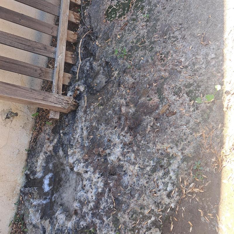 Cast iron sewer pipe removal under foundation crawl space Cast iron sewer pipe removal under foundation crawl space