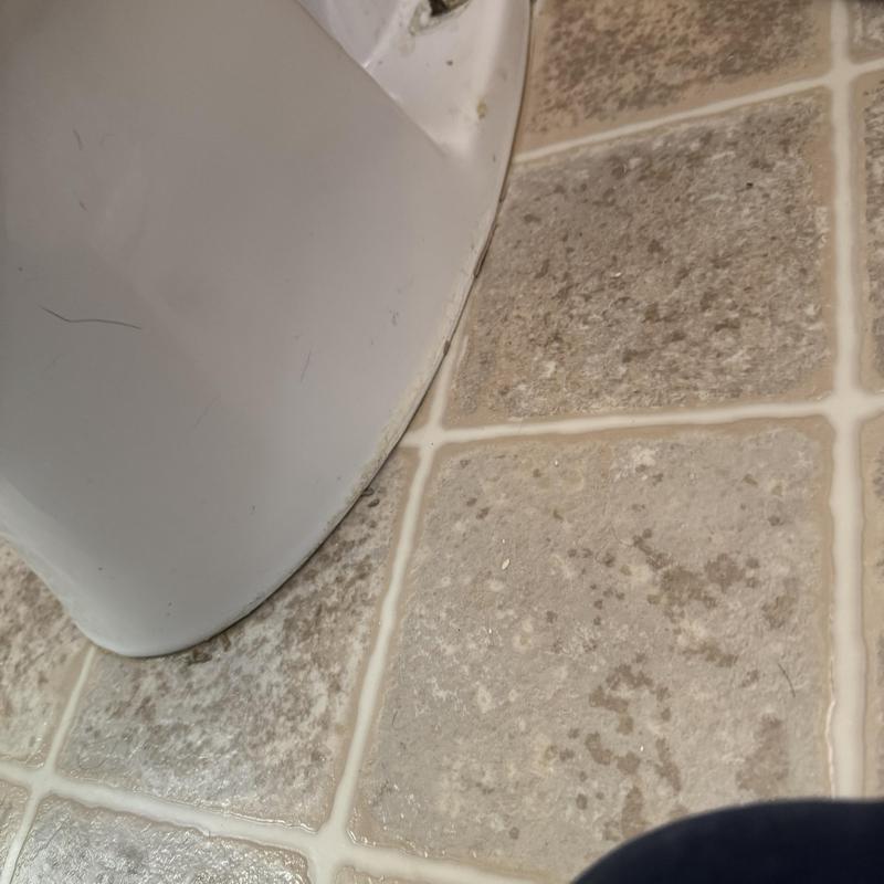 Toilet base with new wax ring seal on tiled floor