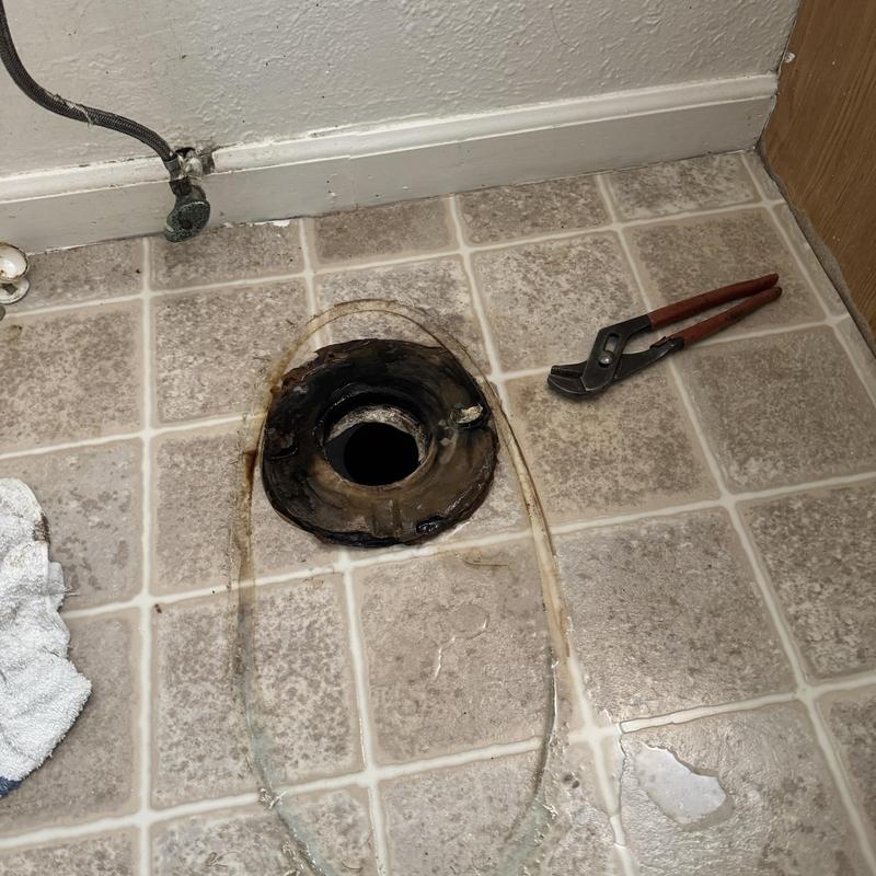Toilet flange and wax ring before reset