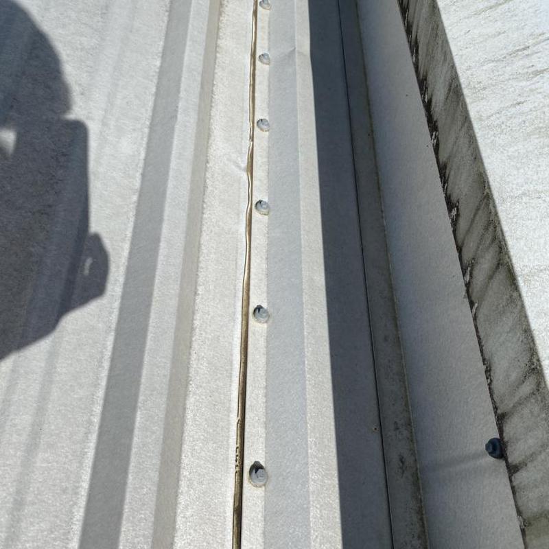 Metal roof panel with replaced neoprene washers and caulk