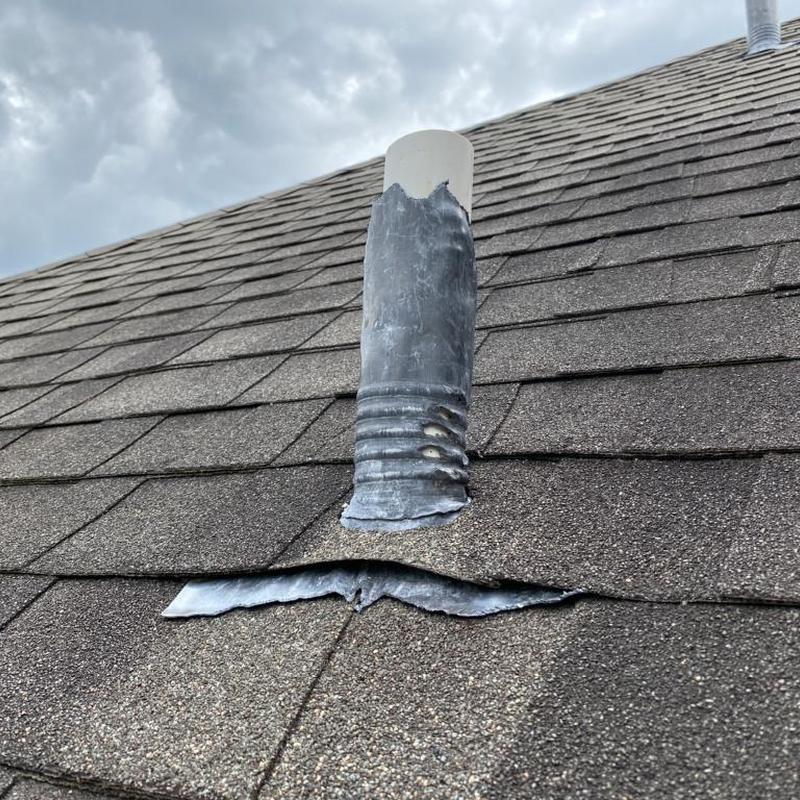 Lead pipe boot with chew damage on shingle roof
