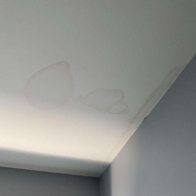 Ceiling water stains from roof leak damage