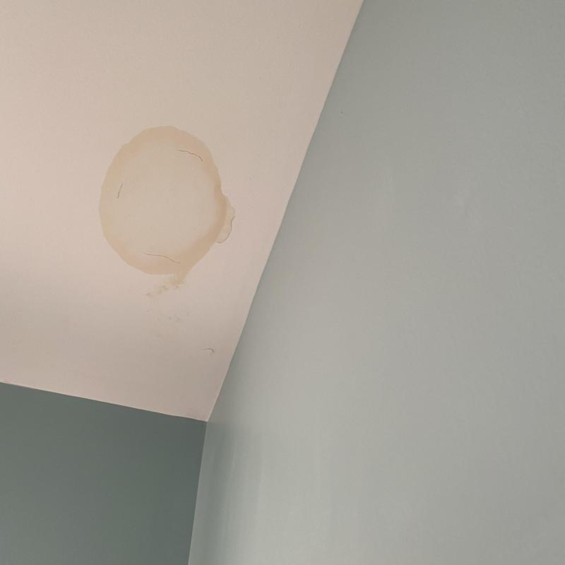Ceiling drywall water damage stain and cracks