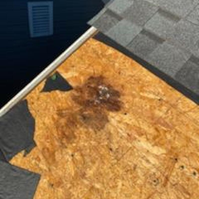 Roof decking with water damage and removed shingles