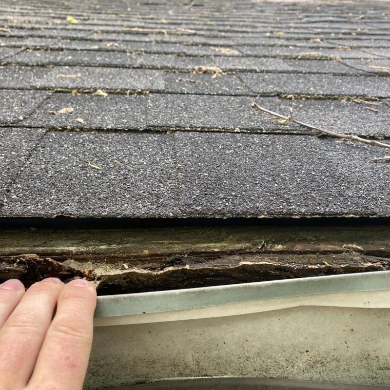 Gutter loose from rotted fascia board under shingles
