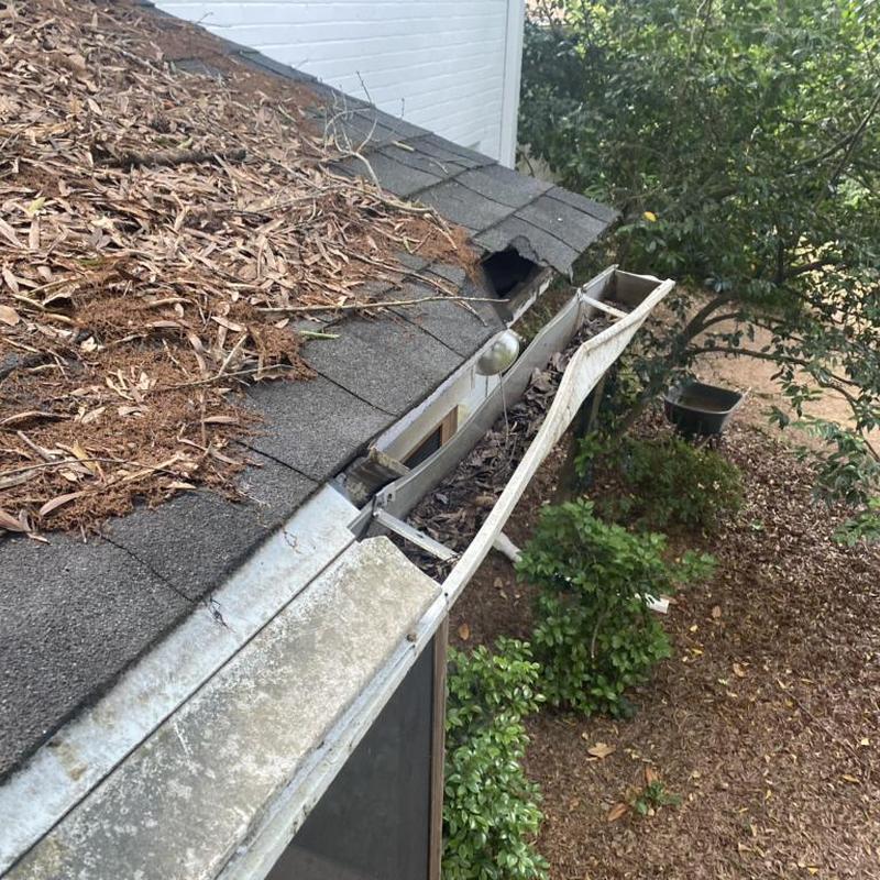 Damaged gutter and roof fascia with debris buildup