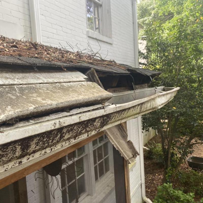 Roof gutter with damaged fascia and debris buildup