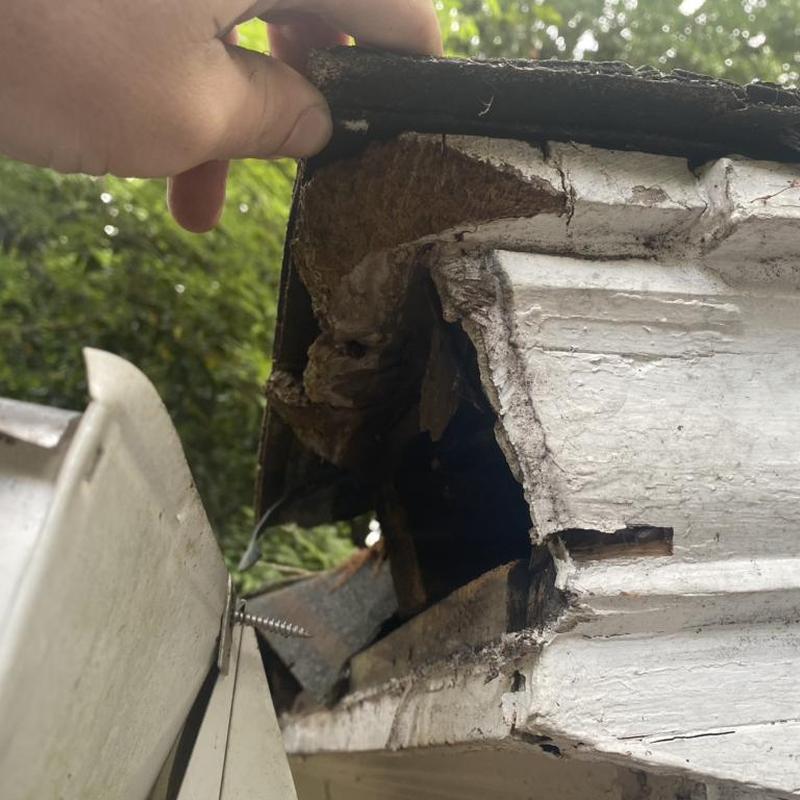 Damaged wooden fascia with hand lifting roof edge