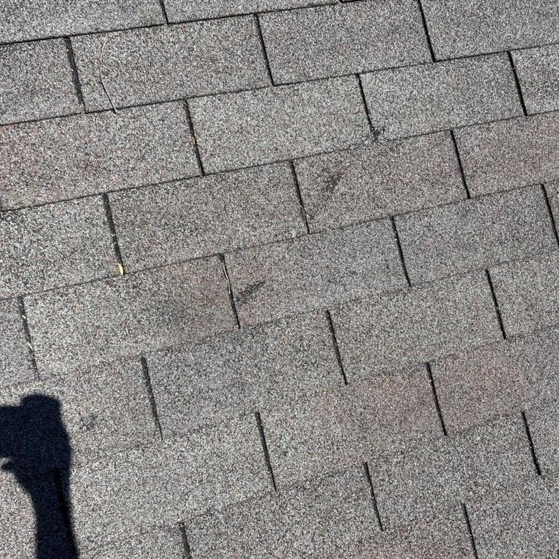 Architectural shingle roof with hail and wind damage