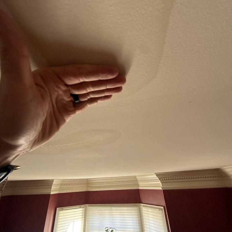 Ceiling water stains with hand for size reference