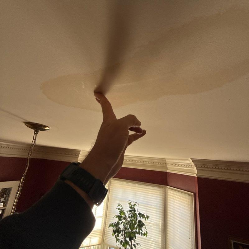 Ceiling water stain with hand pointing at damage