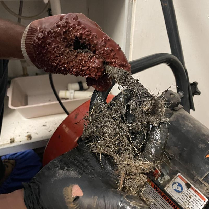 Kitchen sink drain root ball removal with gloves Kitchen sink drain root ball removal with gloves