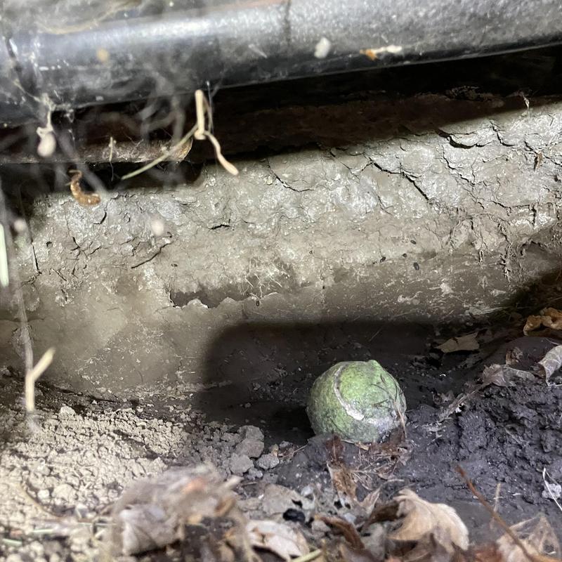 Drain line with root ball and debris inside Drain line with root ball and debris inside