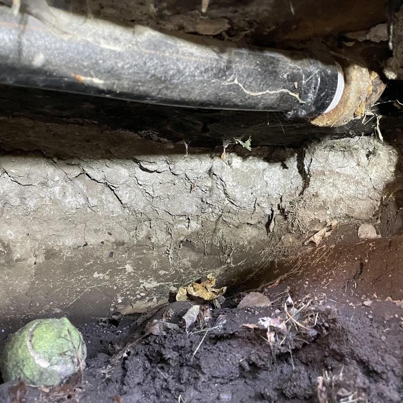 Black drain pipe with root growth removal in soil cavity Black drain pipe with root growth removal in soil cavity
