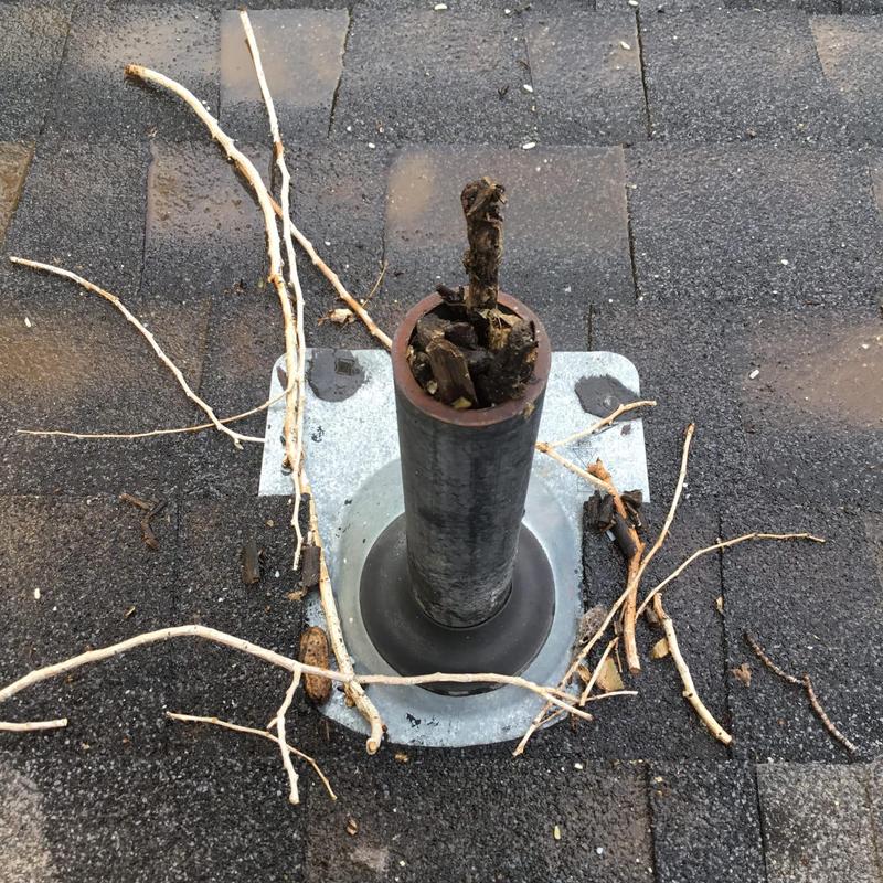Roof vent clogged with sticks and nuts debris Roof vent clogged with sticks and nuts debris
