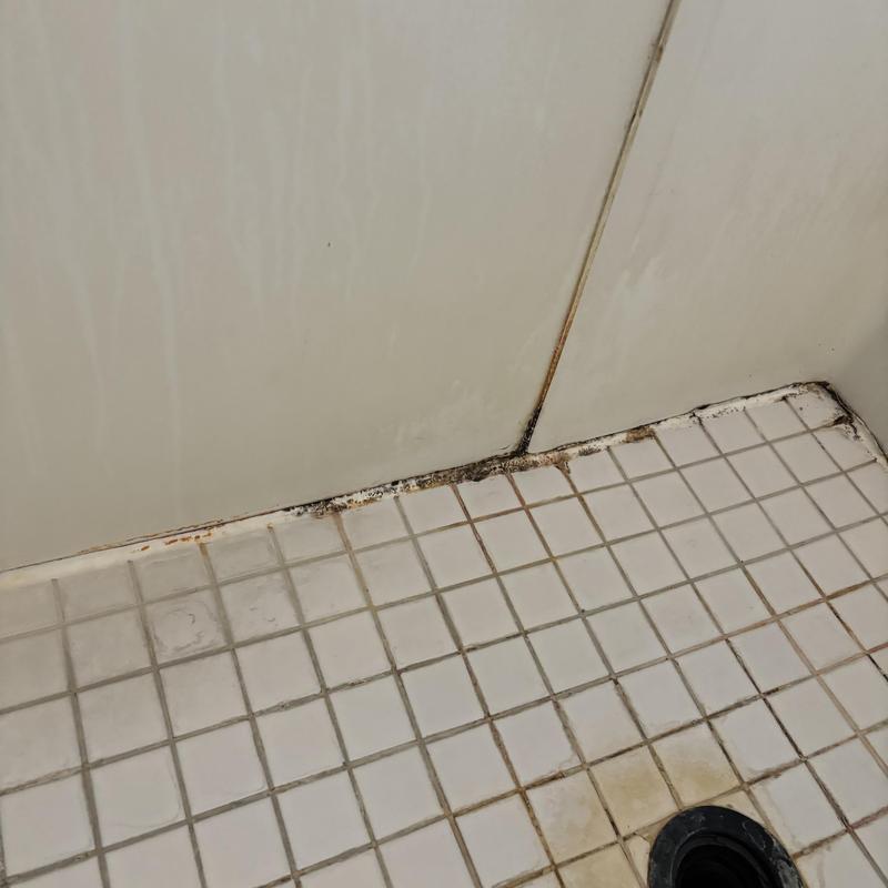 Shower tile grout and wall caulking with mold buildup