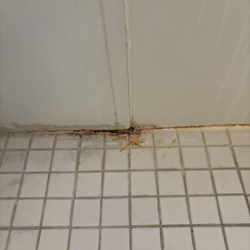 Bathroom tile grout with rust and mold buildup
