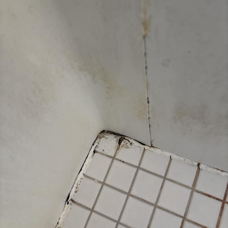 Bathtub tile grout with mold and discoloration