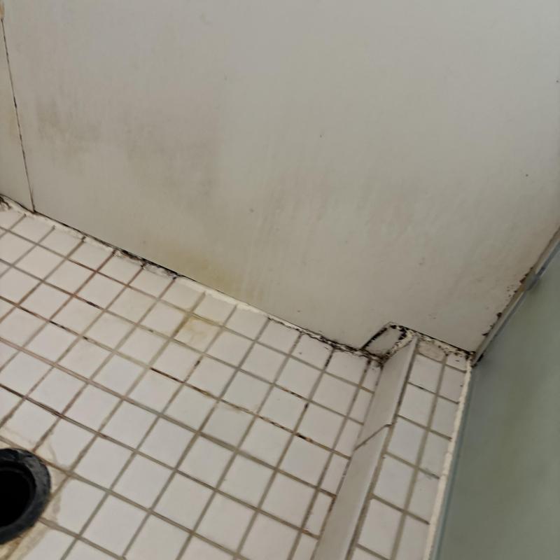 Shower floor tile and grout with mold buildup