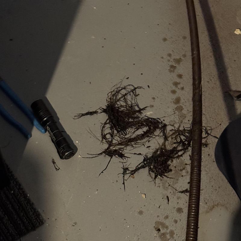 Main sewer line root removal and inspection debris Main sewer line root removal and inspection debris