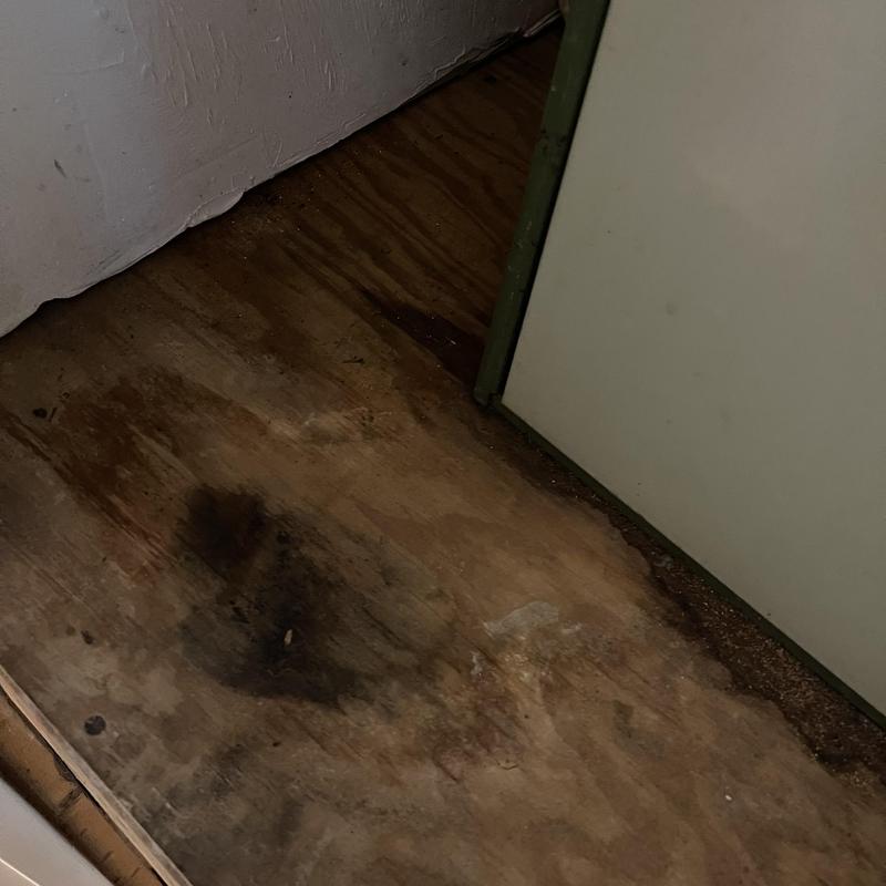 Air handler area moisture damaging wood floorboards