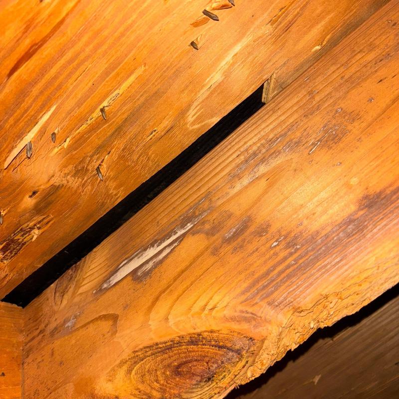 Roof decking with gaps, exposed nails, and staining Roof decking with gaps, exposed nails, and staining