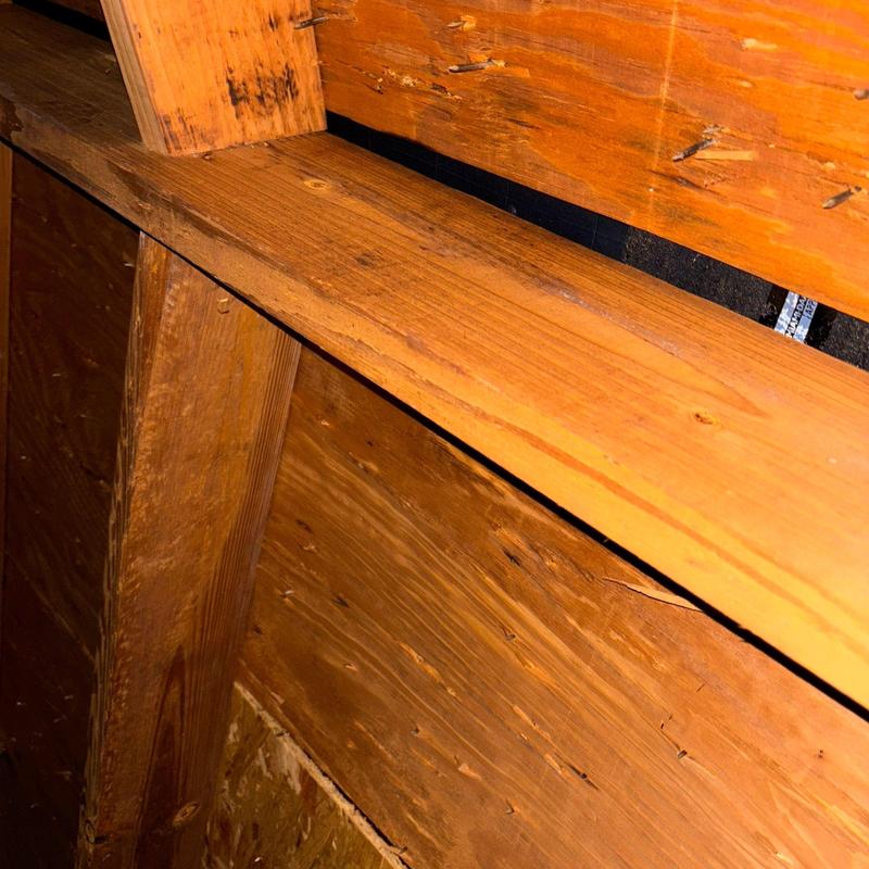Roof decking with gaps and moisture stains inside attic Roof decking with gaps and moisture stains inside attic